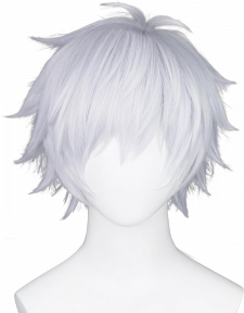 12.02.03_Silver Wig (short)