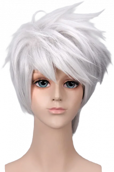 12.02.04_Wig
