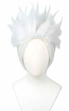12.02.02_Wig (short)