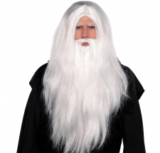 12.02.06_White Wig (long) & Beard (long)